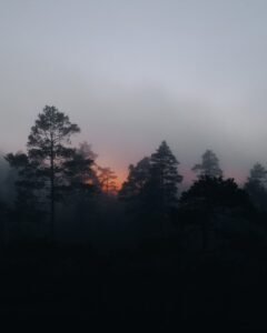 Emerging clarity, emotional awakening, beginning of healing