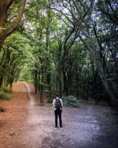 A person standing at a quiet forest crossroads, sunlight breaking through the trees, representing finding direction after confusion. 