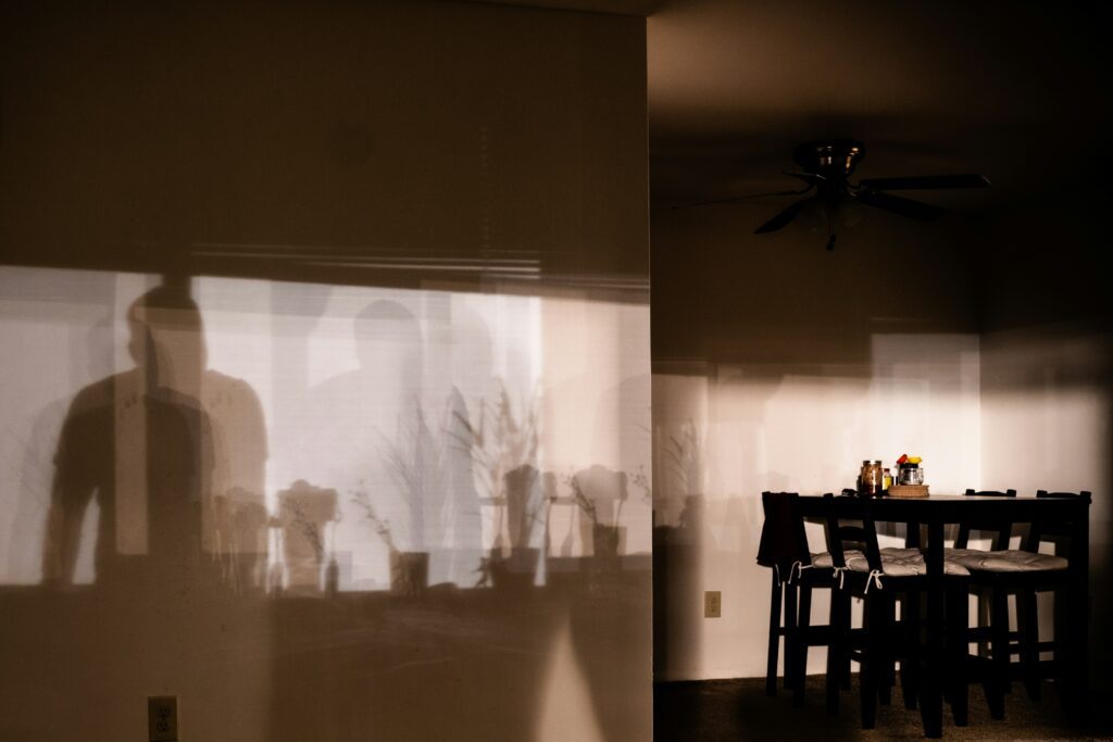 Shadow in Sunlight
