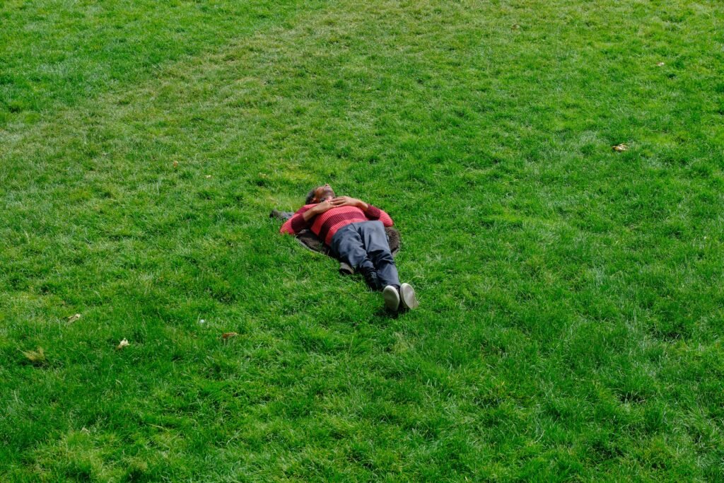 Laying in the grass