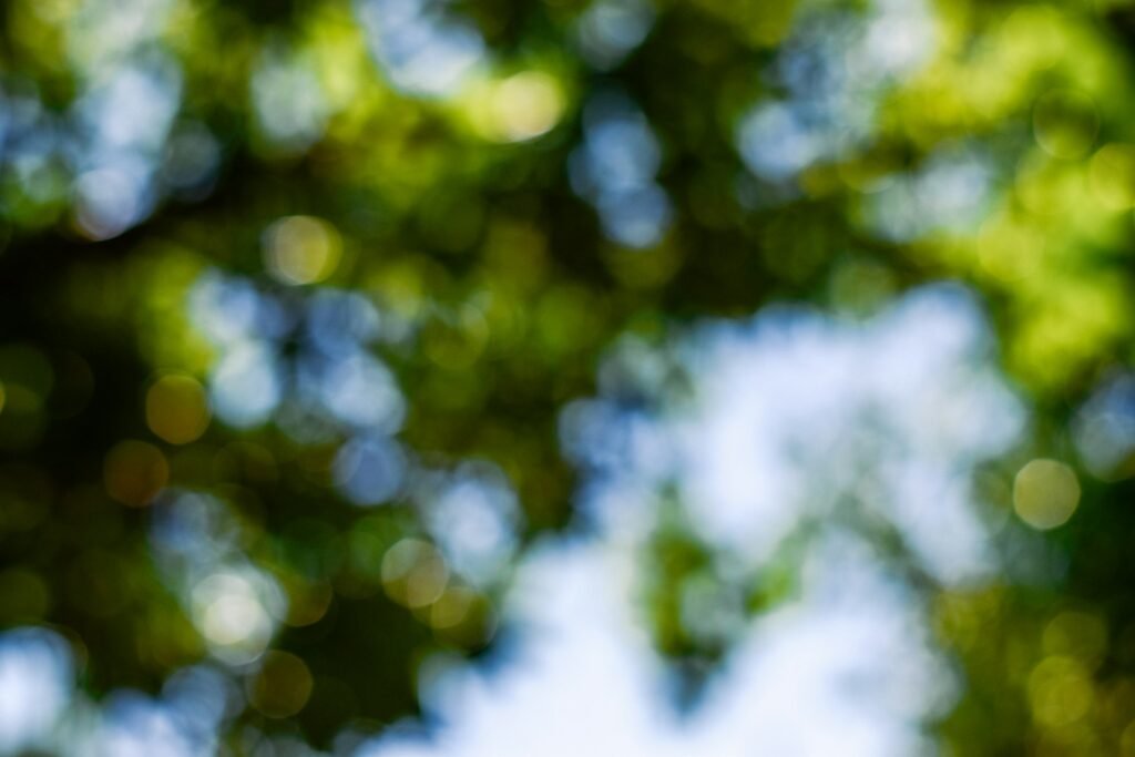 Blurred views